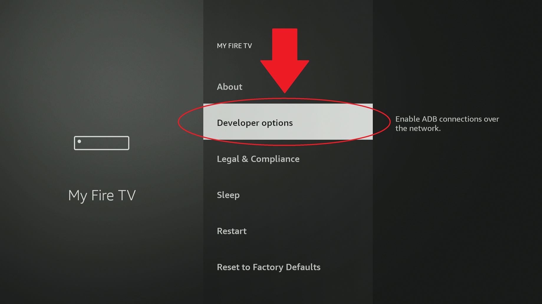 Developer Options
